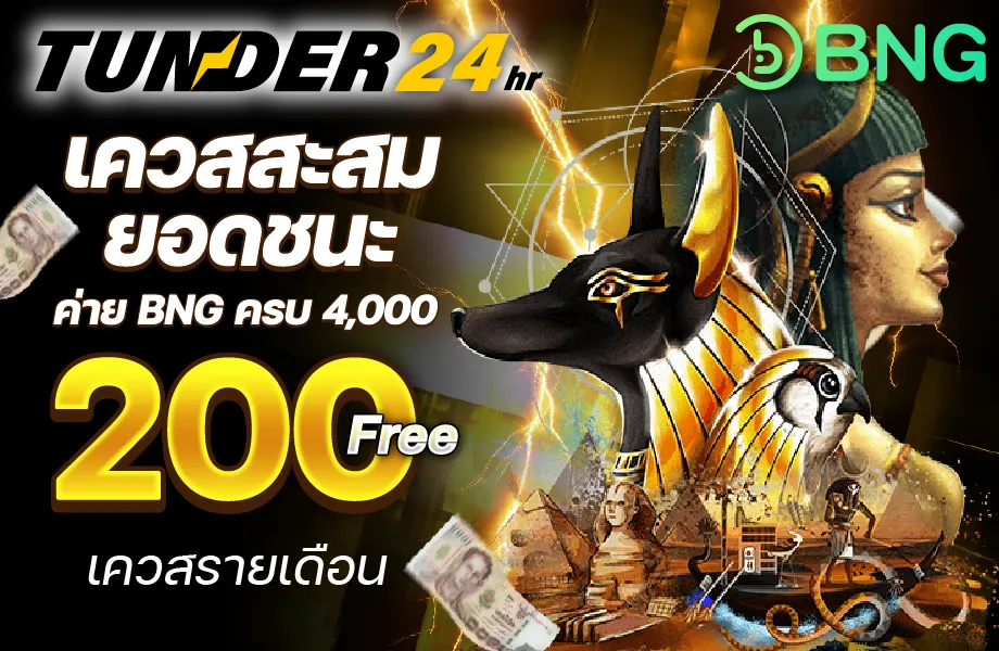 Artboard 34pro-920-TD24hr